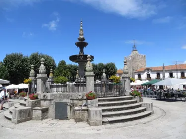 Caminha