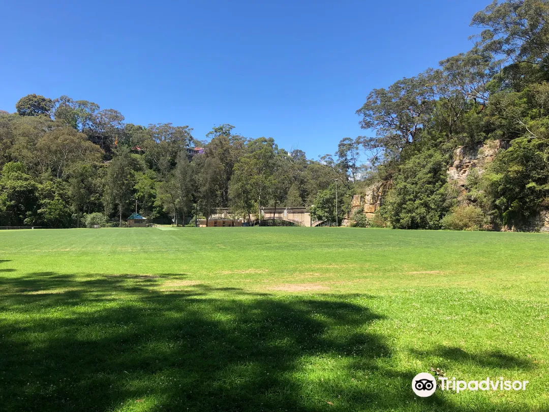 3_Gore Creek Reserve and Lane Cove Bushland Park Walk