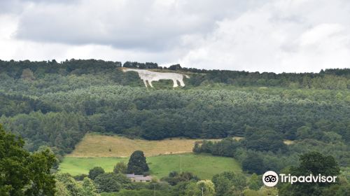 Kilburn White Horse