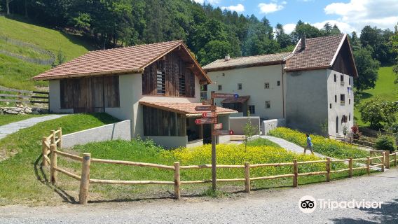 AppenzellTours