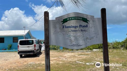 Flamingo Pond Overlook