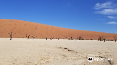 Big Daddy Dune