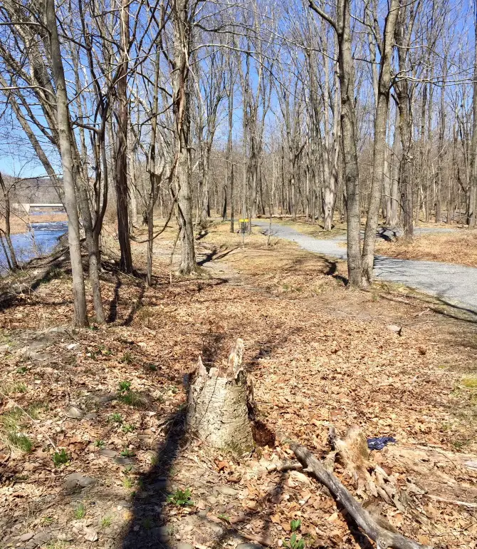 Stroud Township