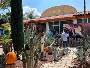 El Rey de Matatlan