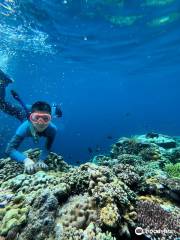 Miguel's Diving Gorontalo