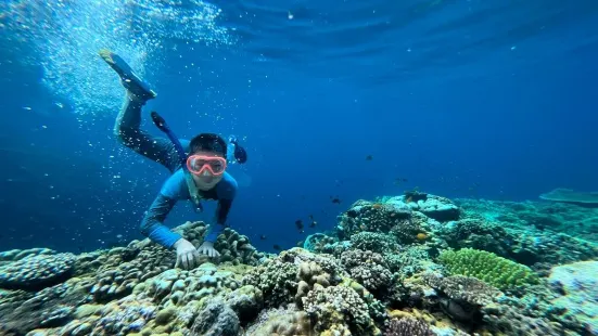 Miguel's Diving Gorontalo