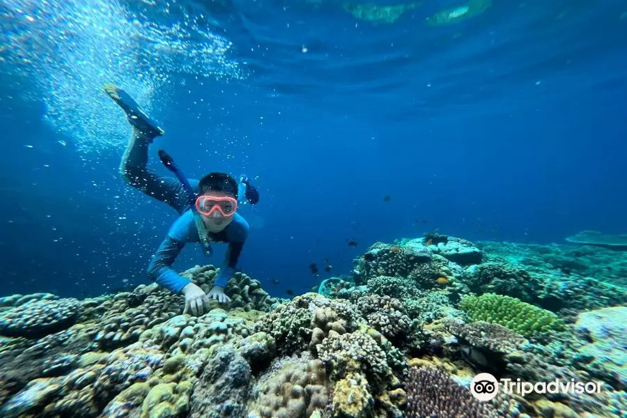 Miguel's Diving Gorontalo