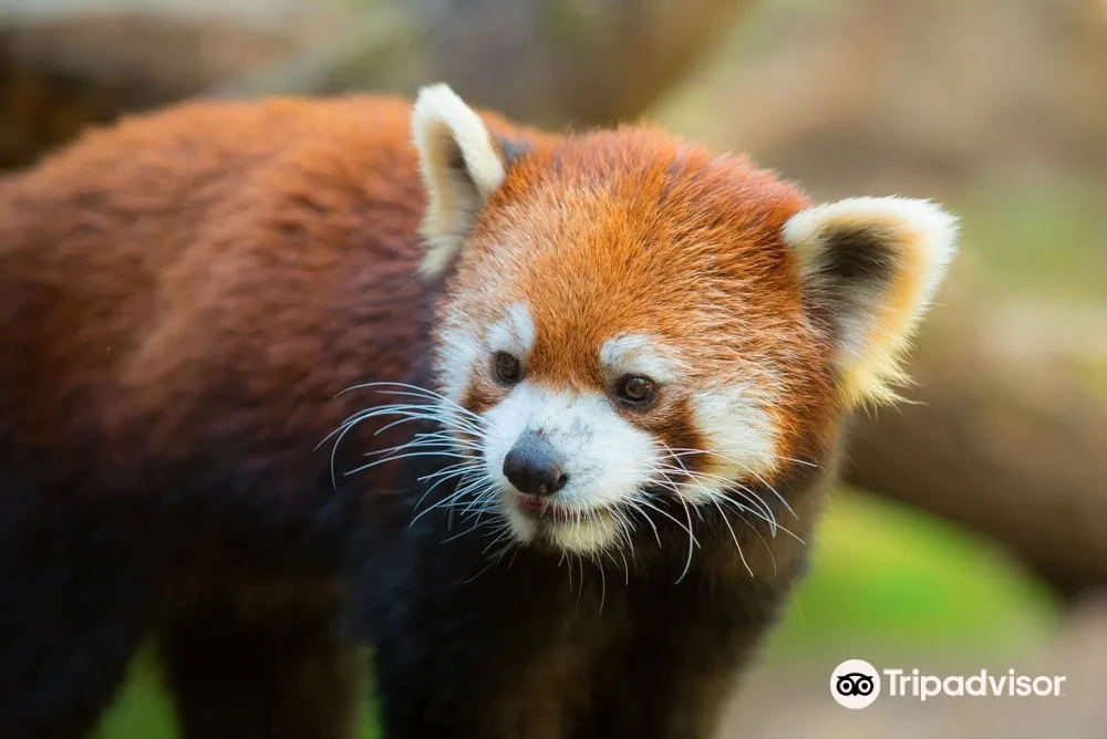 5_Oregon Zoo