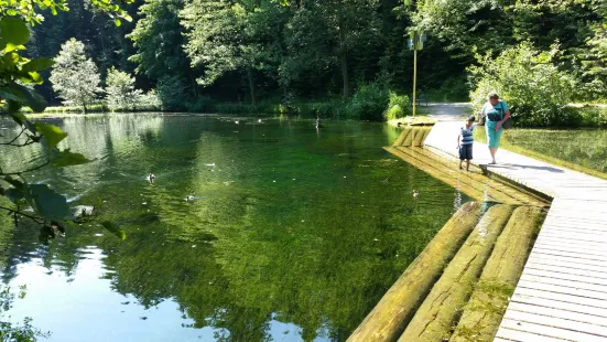 Zauberland an der Kinzig