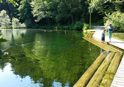 Zauberland an der Kinzig