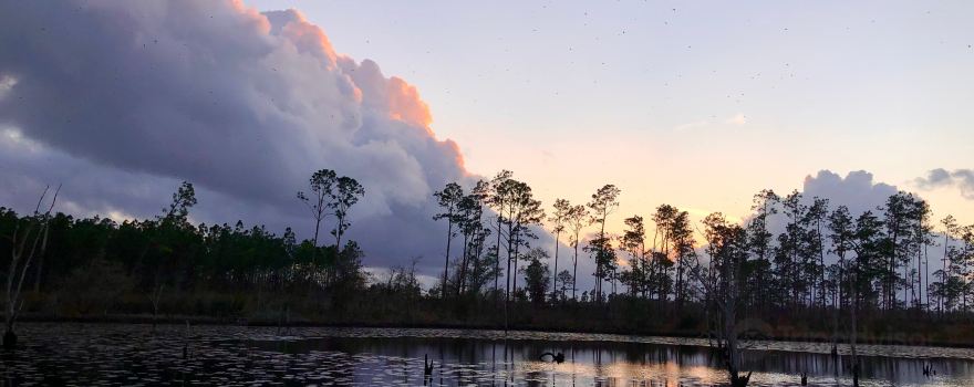 Seminole State Park