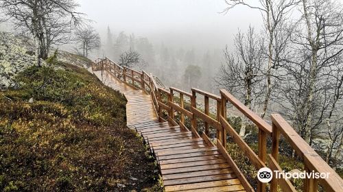 Pyha-Luosto National Park