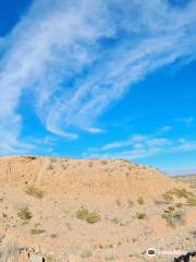 Prehistoric Trackways National Monument