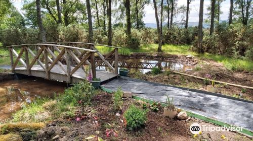 Perthshire Garden Railway