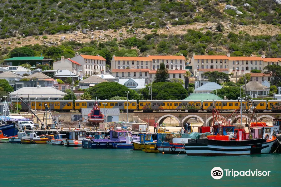 Kalk bay harbor