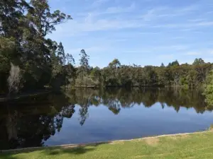 Old Vasse Trout & Marron Farm