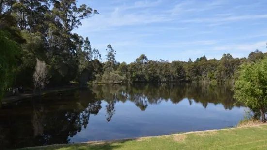 Old Vasse Trout & Marron Farm