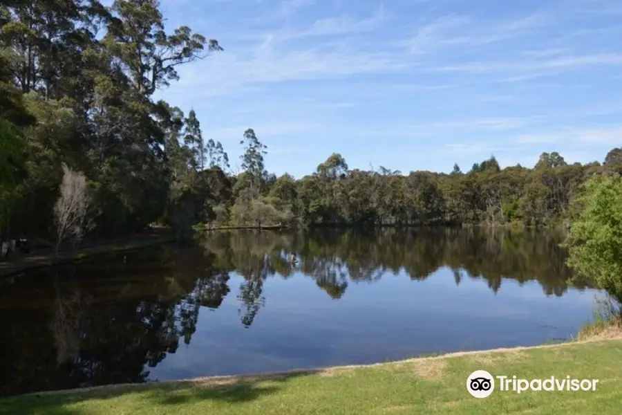 Old Vasse Trout & Marron Farm