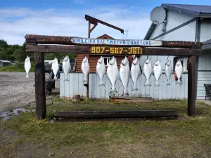 Alaska Fish on Charters Inc.
