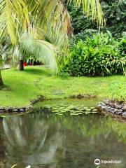 Jardin d'Eau de Vaipahi