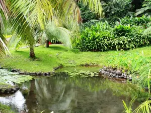 Water Gardens Vaipahi