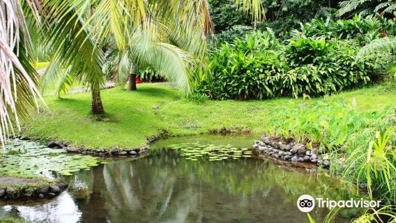 Water Gardens Vaipahi