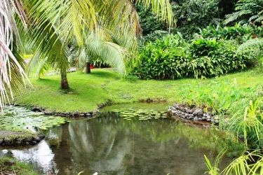 Water Gardens Vaipahi