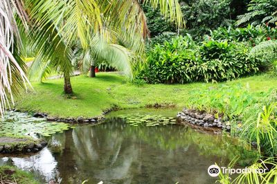 Water Gardens Vaipahi