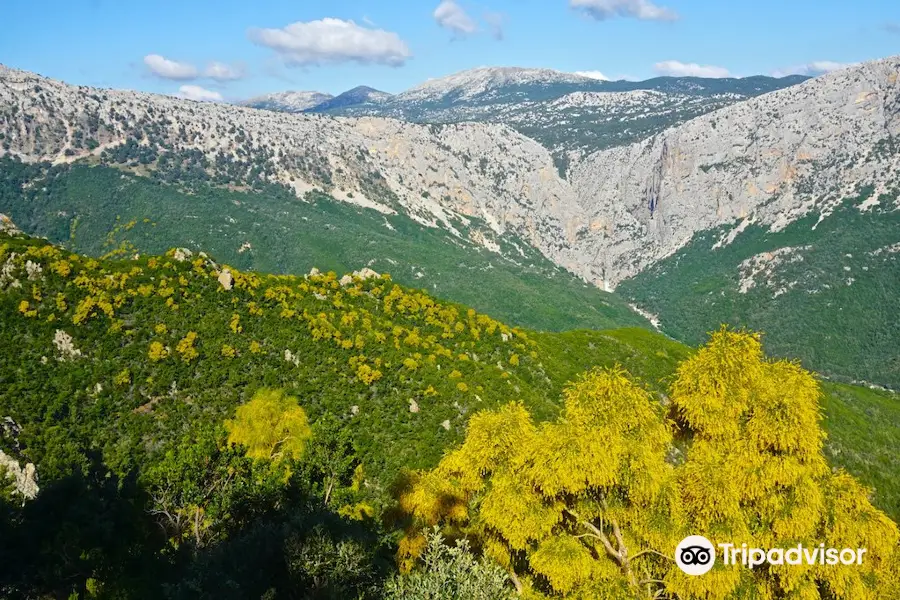 Gennargentu Mountains