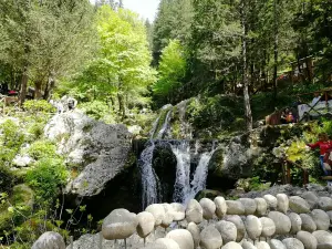 Cipresseta di Fontegreca