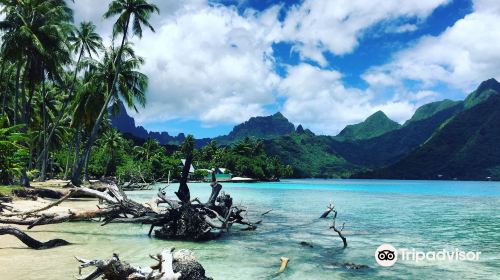 Ta'ahiamanu Beach