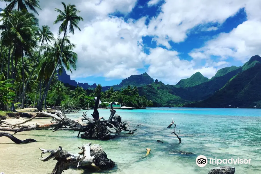 Ta'ahiamanu Beach