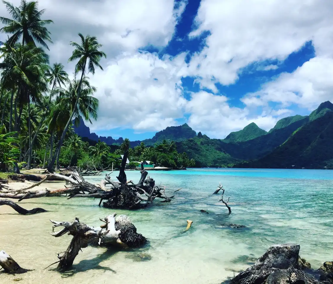 Hotels near Ta'ahiamanu Beach