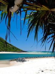 Tallebudgera Creek