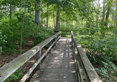 Stiglmeier Park