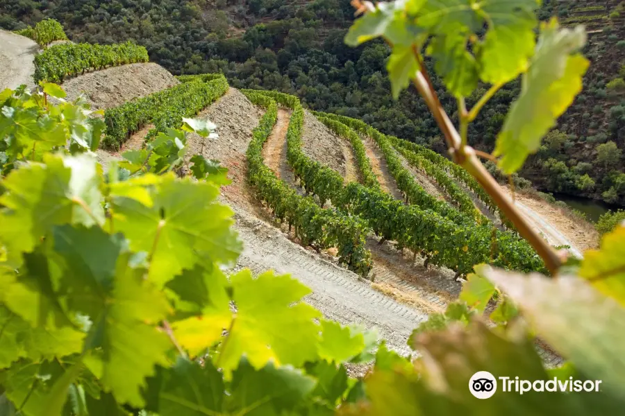 Quinta do Panascal