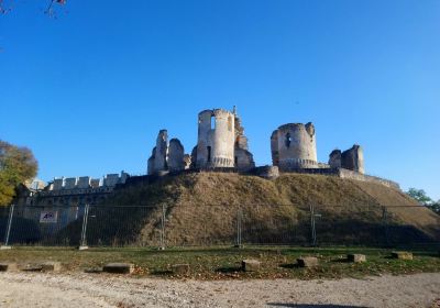 Castle de Fere-en-Tardenois