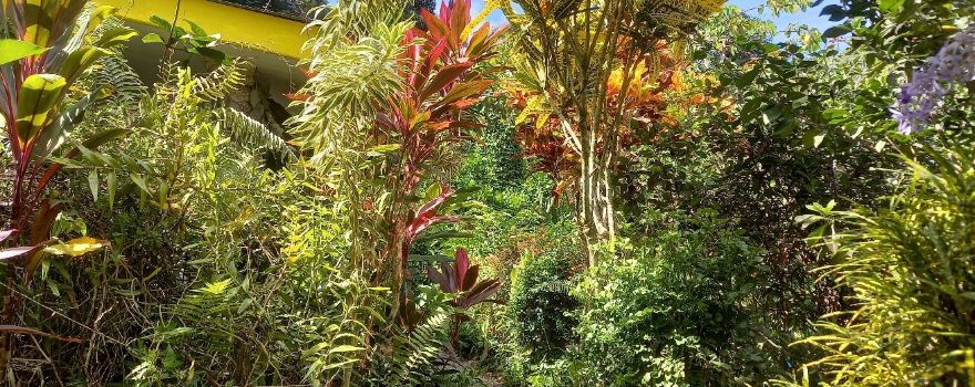 Kot Man-Ya Exotic Flower Garden