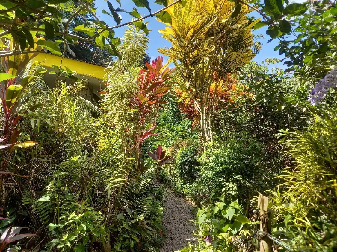 Hotel dekat Kot Man-Ya Exotic Flower Garden