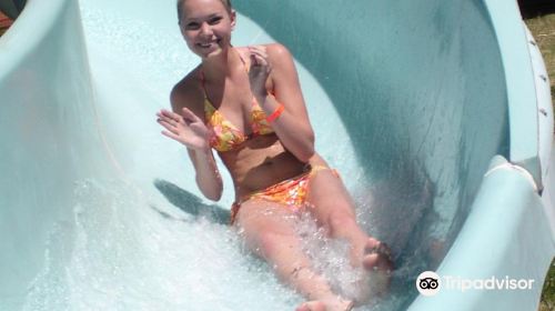 Alpine Slide at Magic Mountain