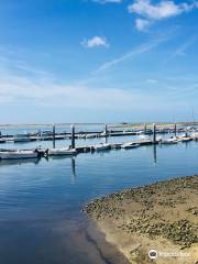 Ria Formosa Natural Park