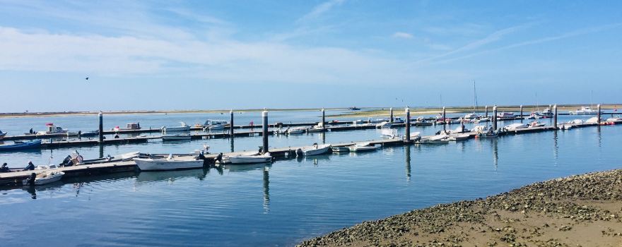 Ria Formosa Natural Park