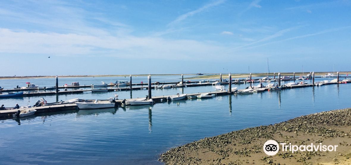 Things to Do in Quelfes in 2025 Top Attractions, Local Food, Hotels