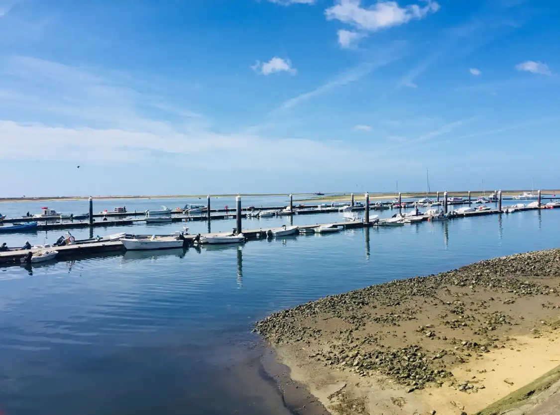 Hotels near Ria Formosa Natural Park