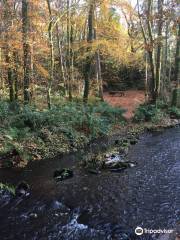 Finlaystone Country Park