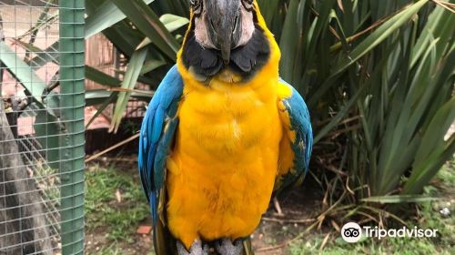 Parque de las Aves Agroflori