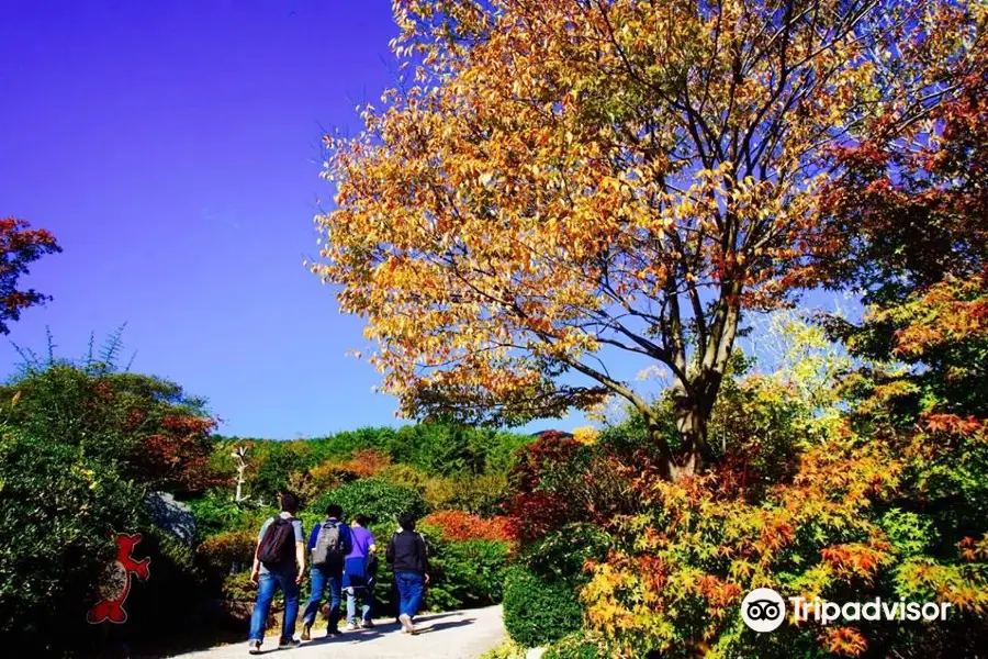 Sanbangsan Biwon Gwangwan Sikmulwon