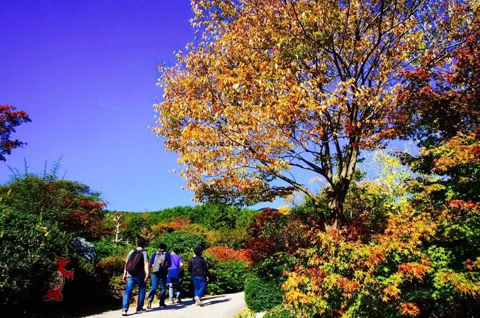 산방산비원 주변 호텔