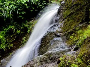 Himchari National Park