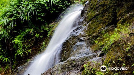 Himchari National Park